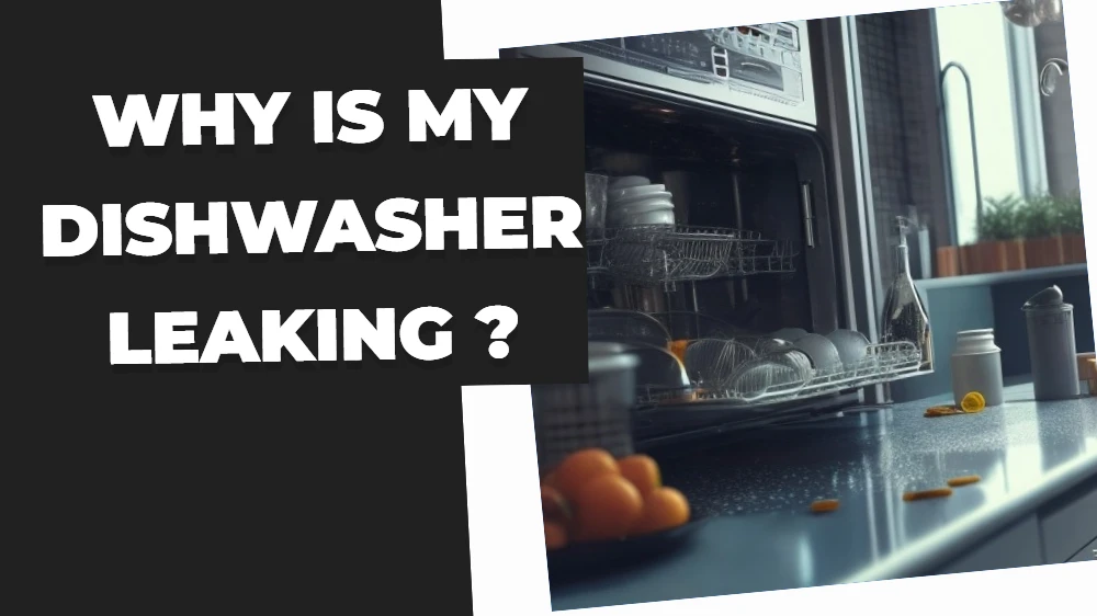 Why Is My Dishwasher Leaking