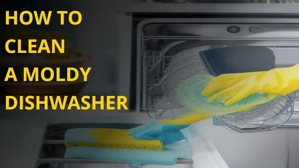 How To Clean A Moldy Dishwasher A Comprehensive Guide Anzish Home