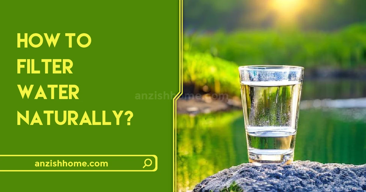 How to Filter Water Naturally