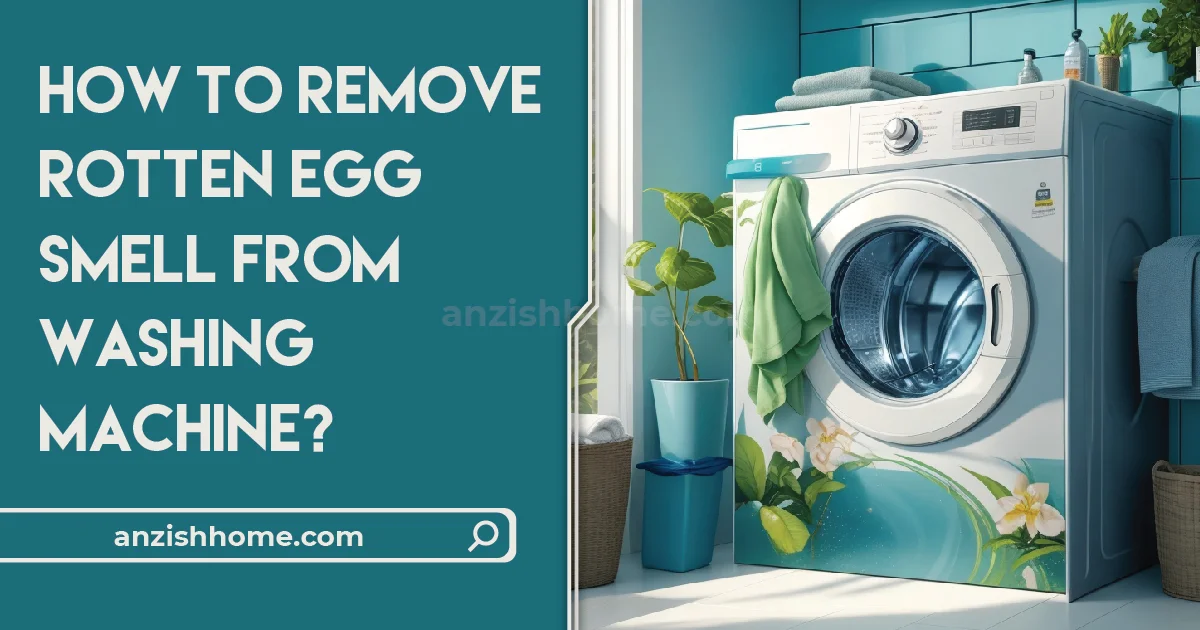 How To Remove Rotten Egg Smell From Washing Machine Anzish Home