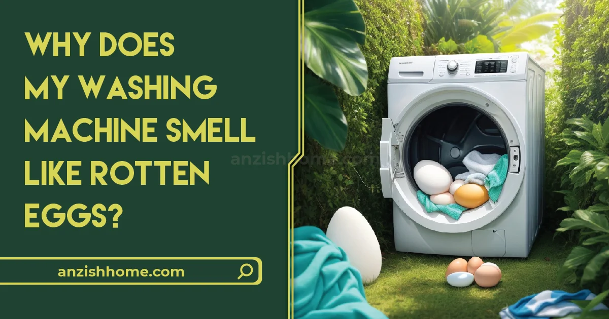 Why Does My Washing Machine Smell Like Rotten Eggs? A Comprehensive